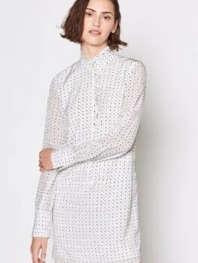 Joie Prynn Porcelain Print Size L Shift Dress Frilly Pleated Placket Long Sleeve